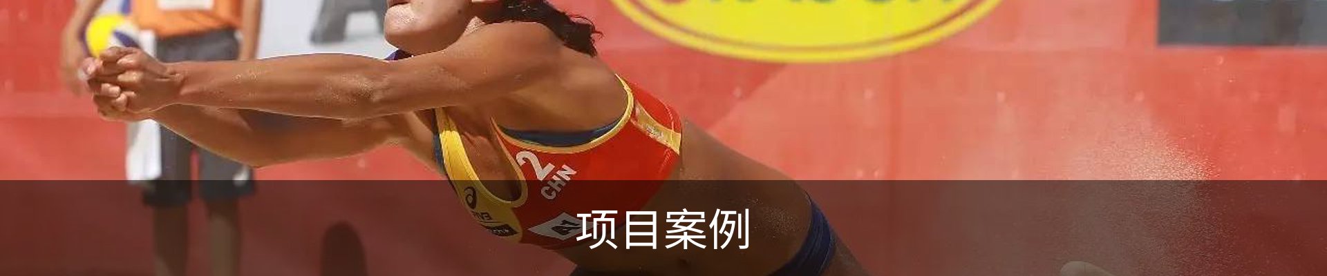 项目案例